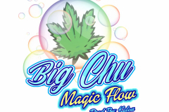 BigChu_MagicFlow3